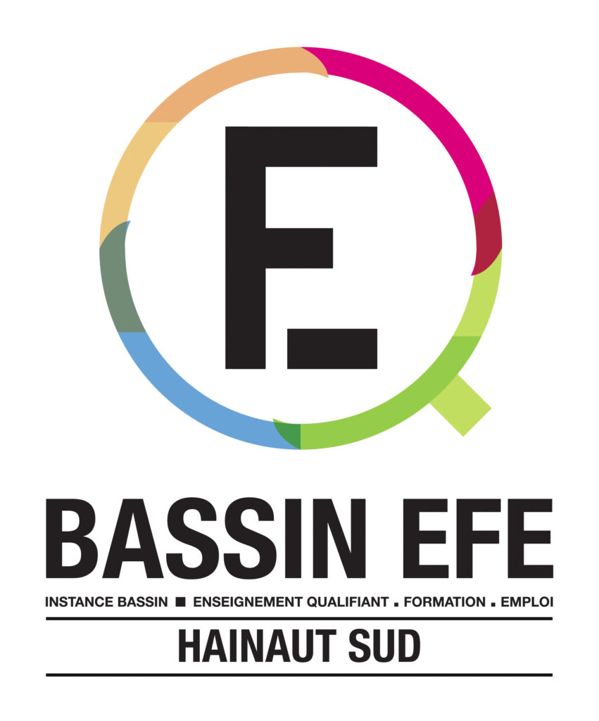 Logo Instance Bassin EFE Hainaut Sud